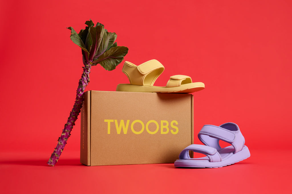 Sustainably Conscious Choices with TWOOBS